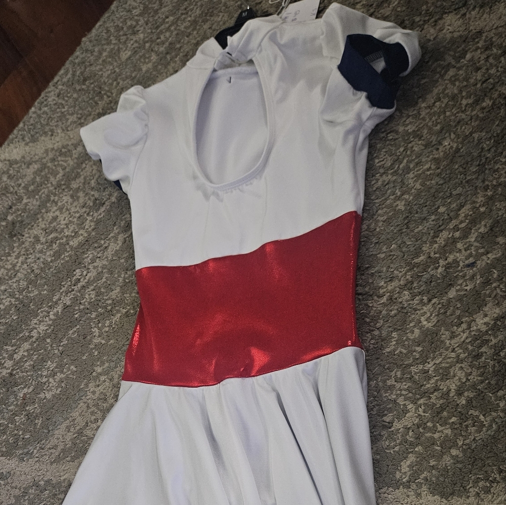 Mary Poppins inspired Ice skating dress - Picture 4 of 5